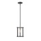 Z-Lite Kirkland 1 Light Mini Pendant, Ashen Barnboard 472MPR-ABB - alternate 2